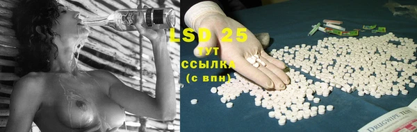 PSILOCYBIN Бородино