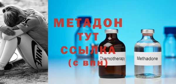 PSILOCYBIN Бородино
