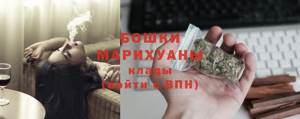 МДПВ Бронницы