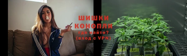 PSILOCYBIN Бородино