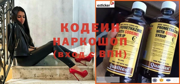 PSILOCYBIN Бородино