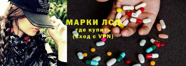 PSILOCYBIN Бородино