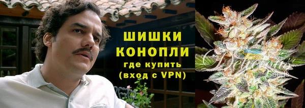 МДПВ Бронницы