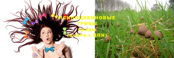 МДПВ Бронницы