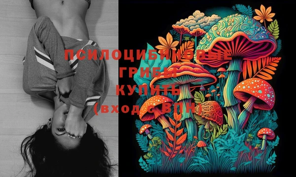 спайс Слюдянка