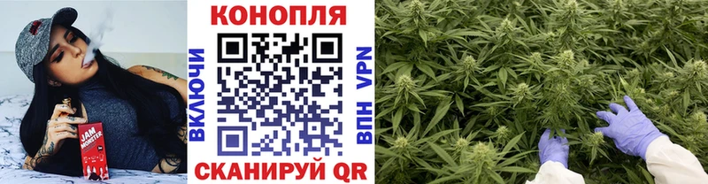 Конопля гибрид Кириллов
