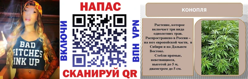 MEGA маркетплейс  Кириллов  Конопля Ganja  где можно купить  